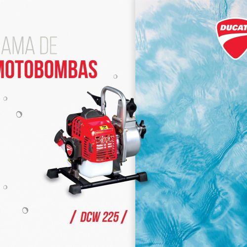 Motobomba Ducati 2T 32cc 1″ DCW 225
