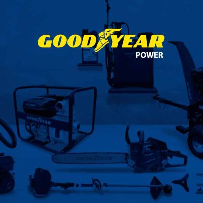 Banner-Web-Goodyear-2