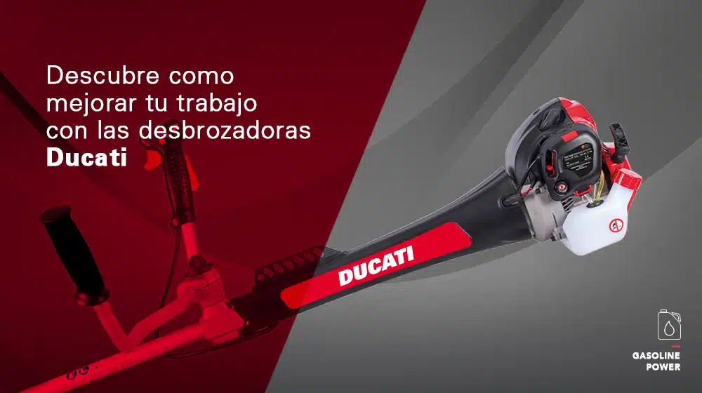 banner-ducati-desbro-home